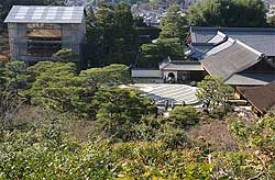 tS