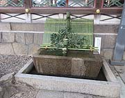 䍁