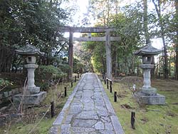 铕Ɛ΂̒