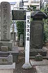 in]̕