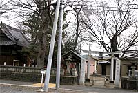 zK_