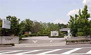 Vyp