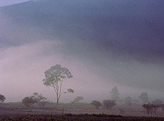 ̋Mwl