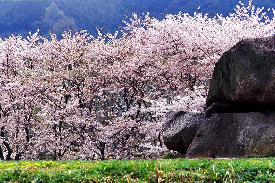 クリックすると、大きくなります