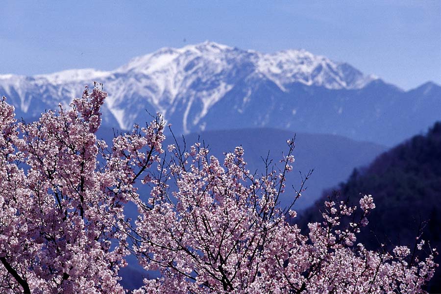 クリックすると、大きくなります
