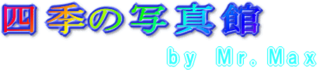 lqDl`w̎l G   ^ 