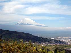 富士川SCからの富士