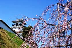 掛川城