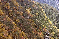 駒ケ岳山頂駅から下方を望む