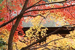 金剛輪寺