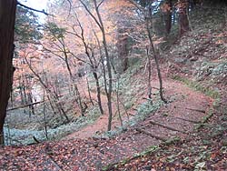 左右にカーブする道
